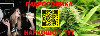 jwh Ирбит