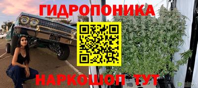 ГАЛЛЮЦИНОГЕННЫЕ ГРИБЫ Изобильный