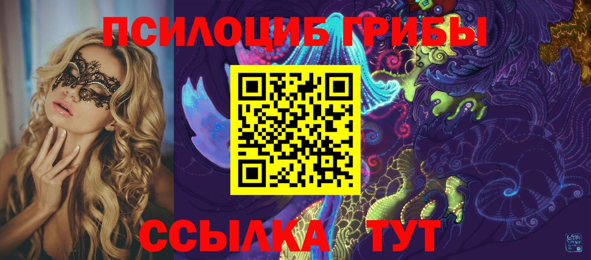 Галлюциногенные грибы Cubensis Курчатов