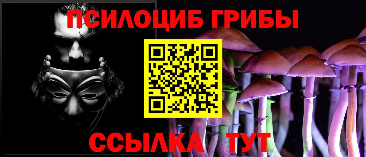 магазин продажи наркотиков  Псилоцибиновые грибы Magic Shrooms  Вход с VPN  Курчатов 